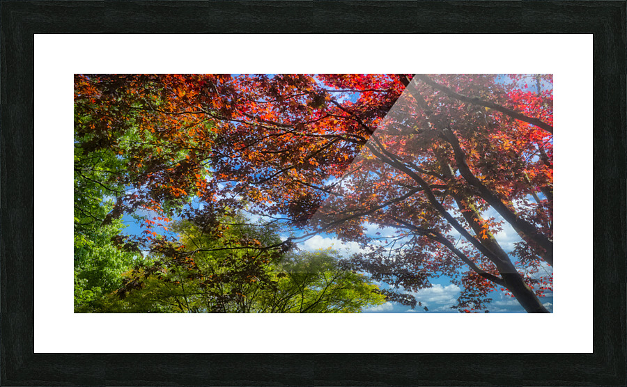 Foliage Picture Frame print