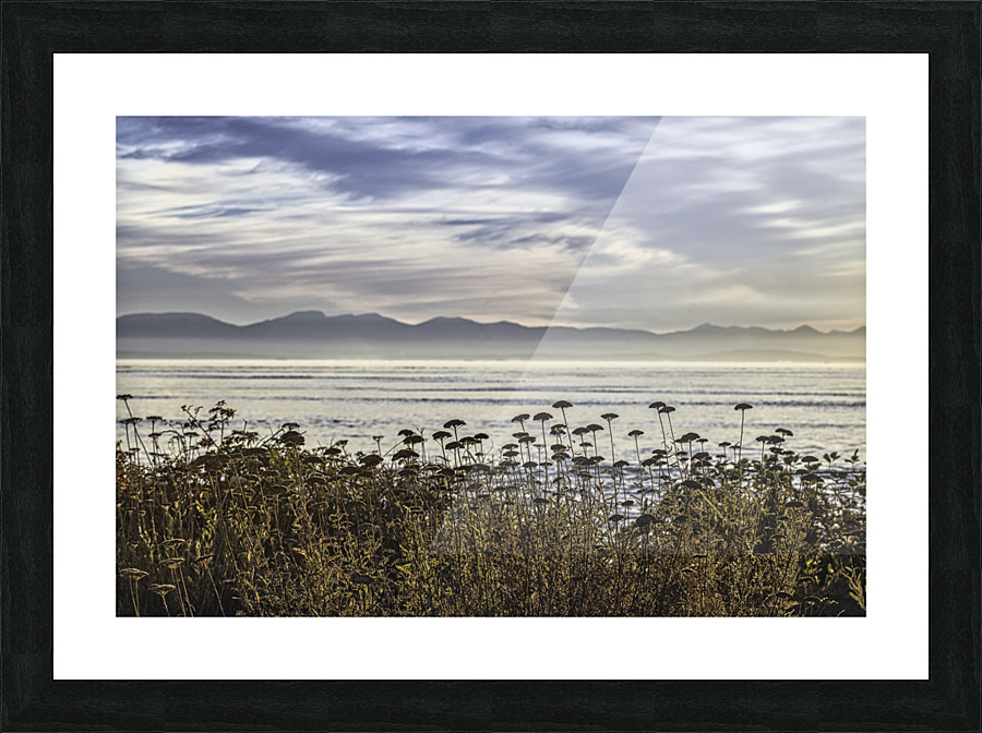 Misty Landscape Picture Frame print