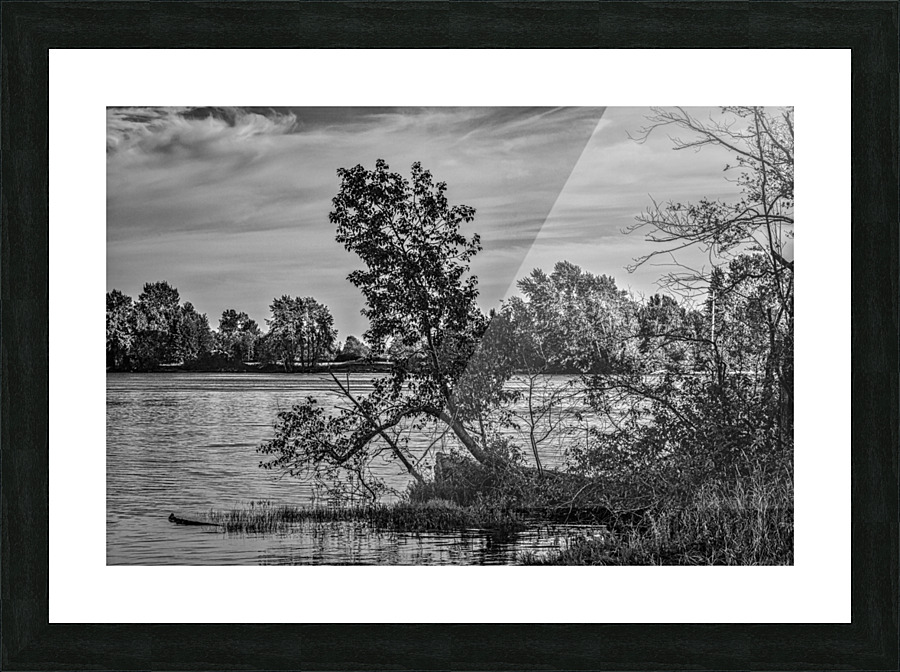 FS220925BW Picture Frame print
