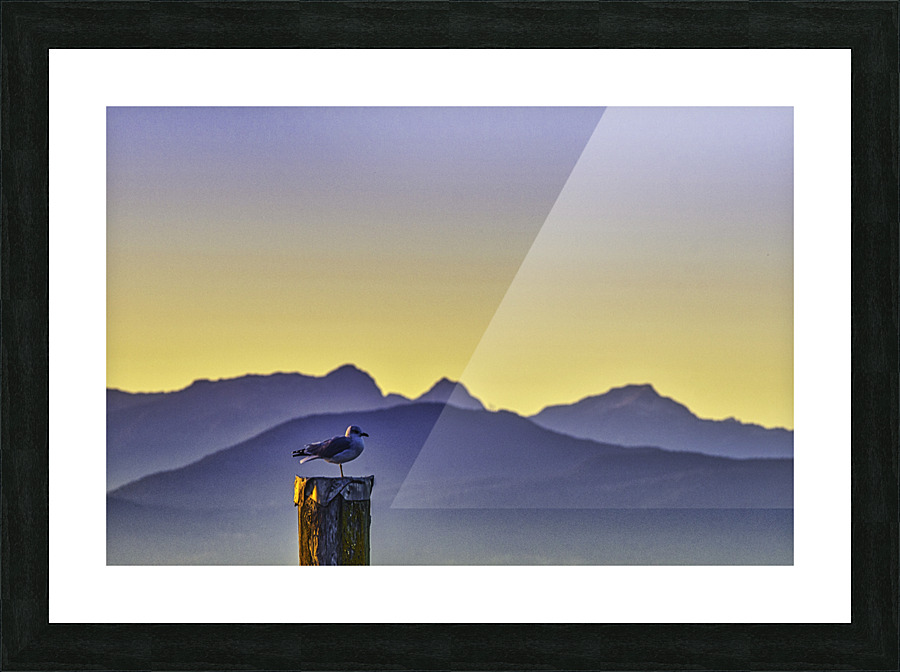 BORN FREE Picture Frame print