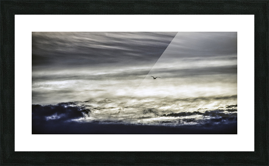 THE GULL 海鷗 Picture Frame print