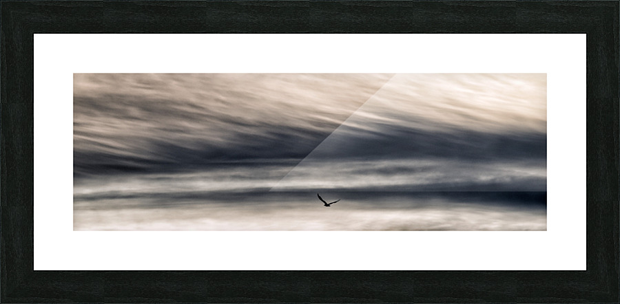 THE GULL  3 Picture Frame print