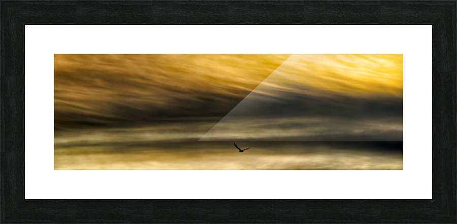 THE GULL  2 Picture Frame print