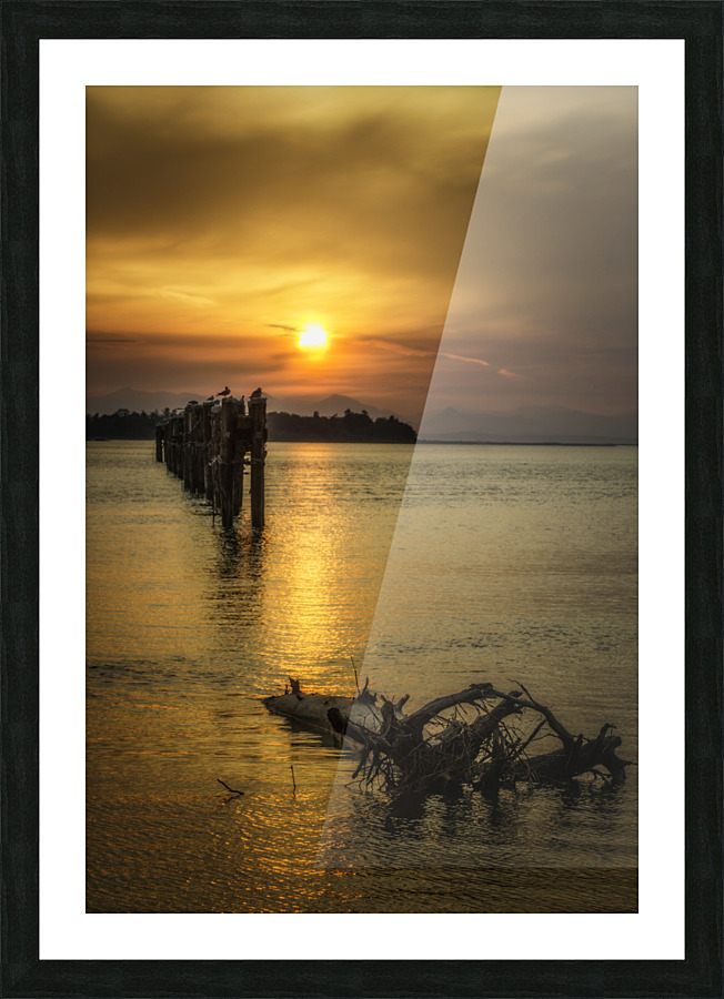 DRIFTWOOD 2022 Picture Frame print