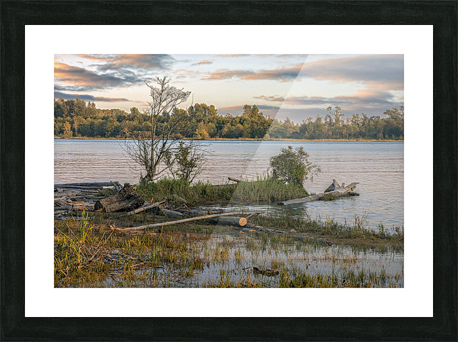 Landscape on Fraser River Picture Frame print