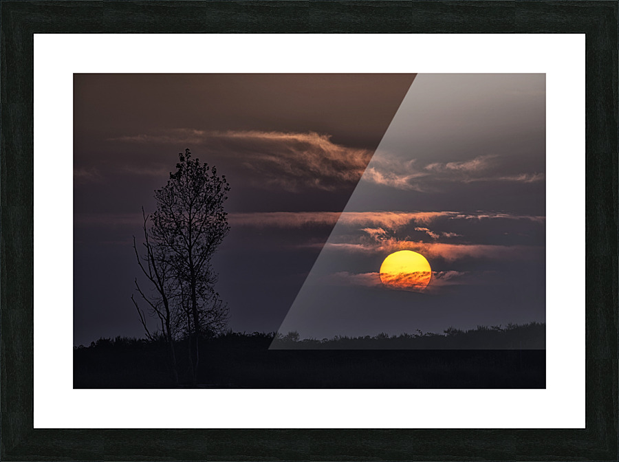 FS221018 02 Picture Frame print