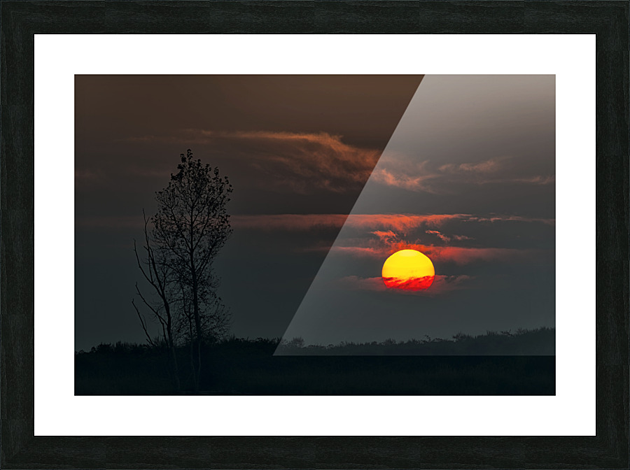 FS221018 01 Picture Frame print