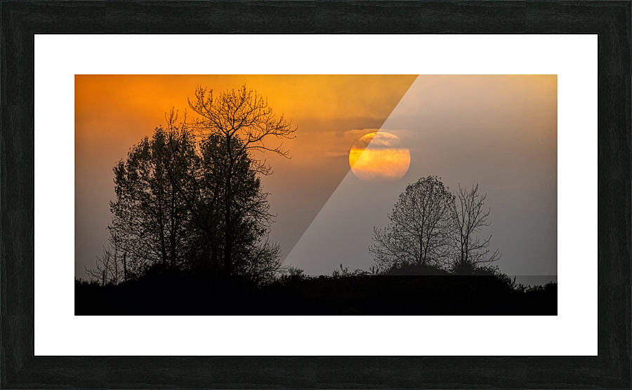FS221019DW Picture Frame print