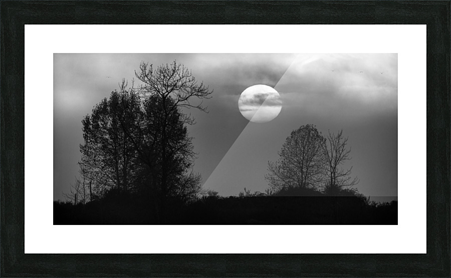 FS221019BW Picture Frame print
