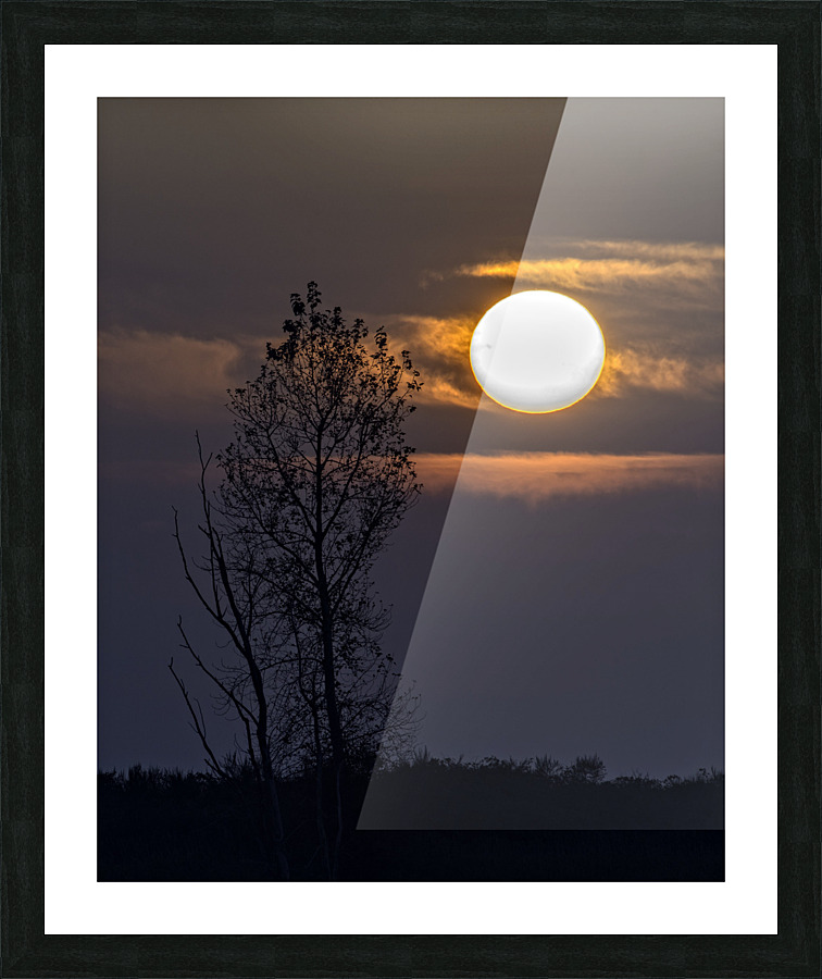FS221018 114 Picture Frame print
