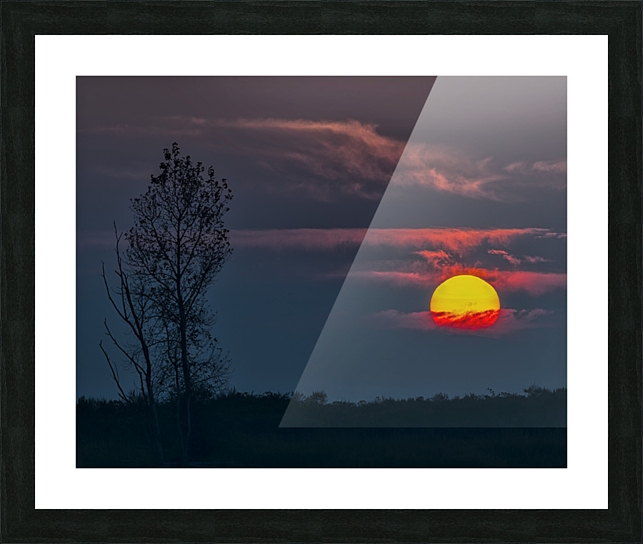 FS221018 01 Picture Frame print