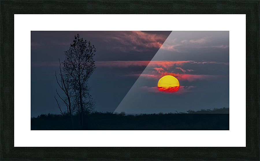 FS221018 DW Picture Frame print