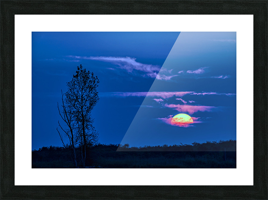 SUNSET WITH SILHOETTE TREES Picture Frame print