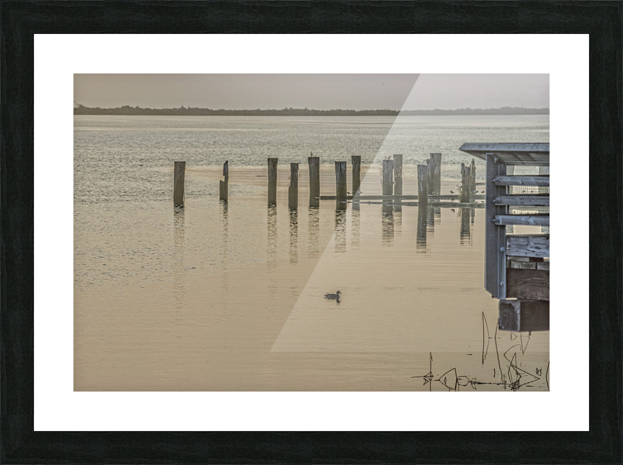 FS221019 01 Picture Frame print