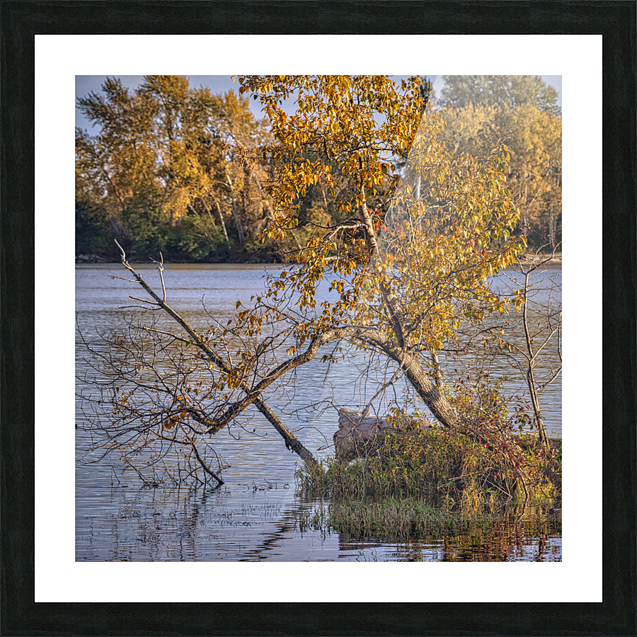 FS221022S Picture Frame print