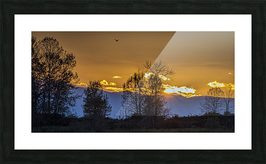 FS221022DW 2 Picture Frame print