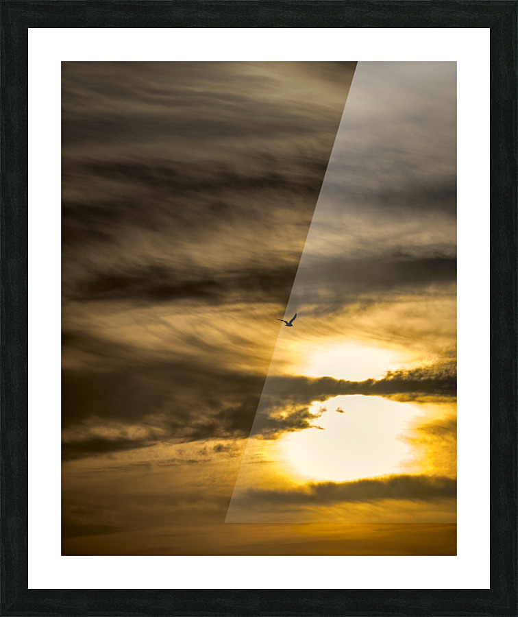 FS221019 06 Picture Frame print