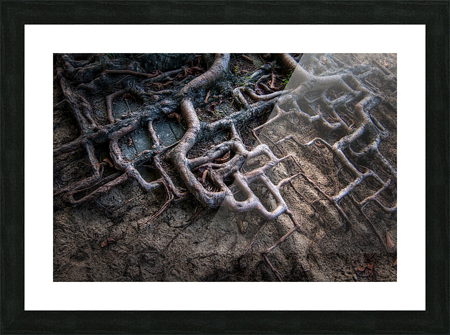 ROOTS 2011 Picture Frame print