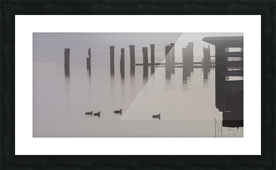 FOUR LITTLE DUCKS Picture Frame print