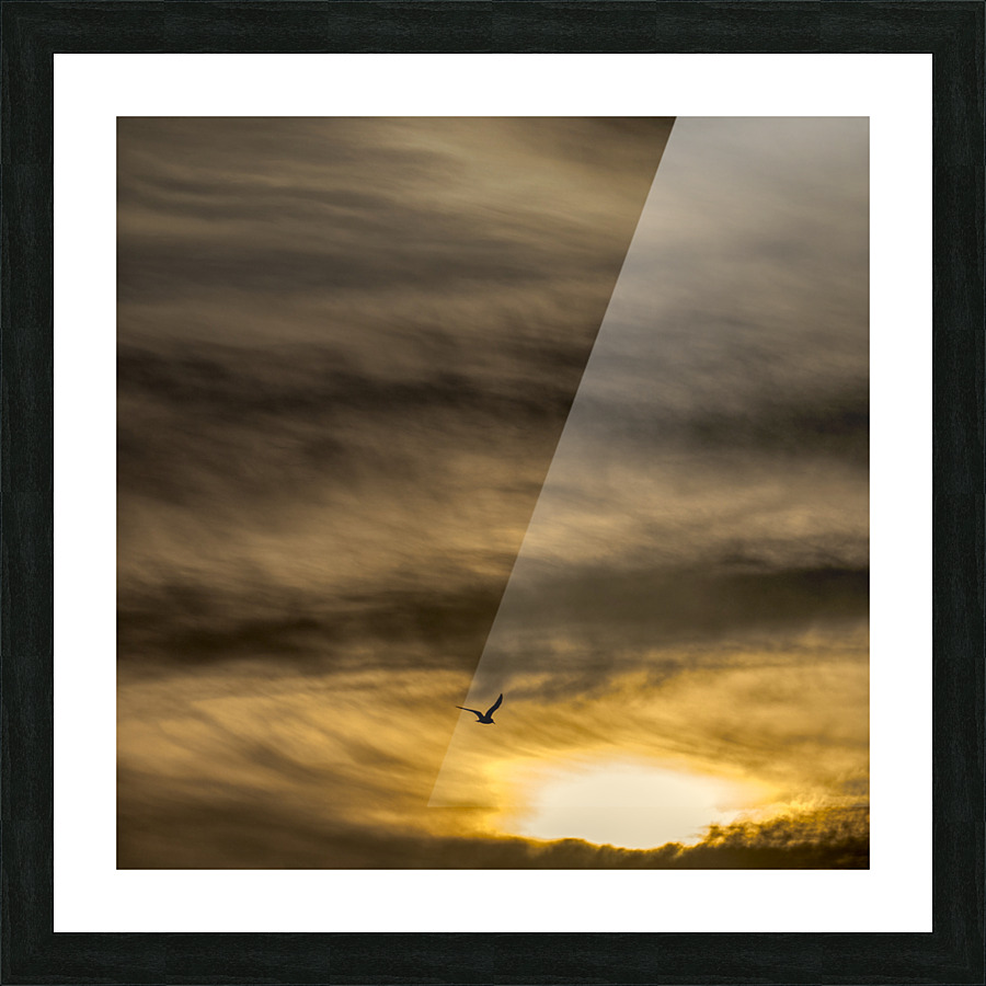 INTO UNKNOWN Picture Frame print
