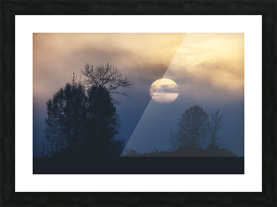 FS221019 255 Picture Frame print