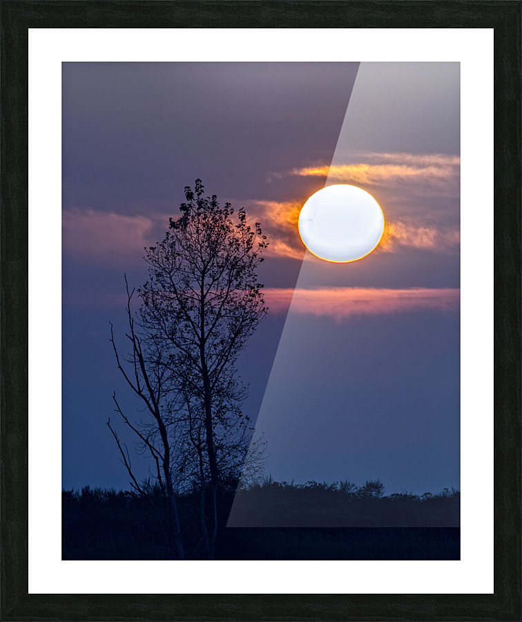 SETTING SUN 22 Picture Frame print