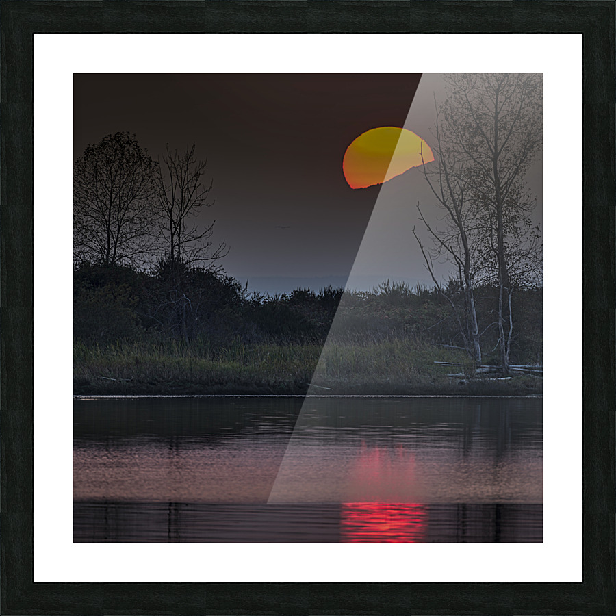 FS221016 406S Picture Frame print