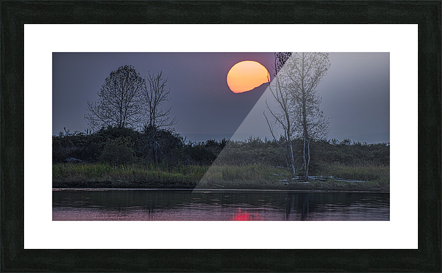 FS221016 401 Picture Frame print