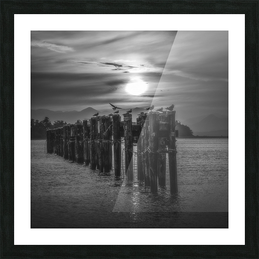GILBERT BEACH BW Picture Frame print