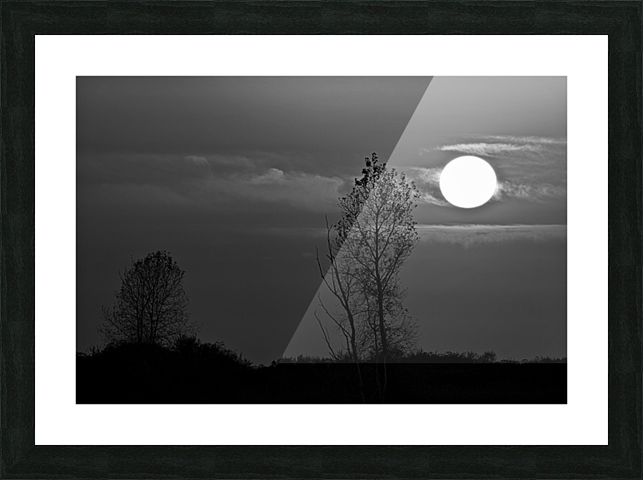 SUNSET AT STEVESTON BW Picture Frame print