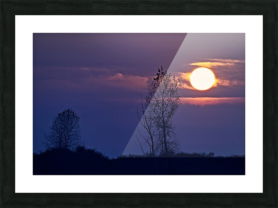 SUNSET AT STEVESTON Picture Frame print