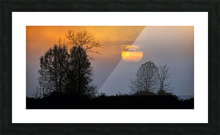 FS221019DW2 Picture Frame print