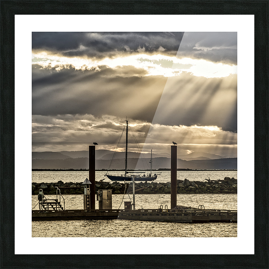 FS221128S Picture Frame print