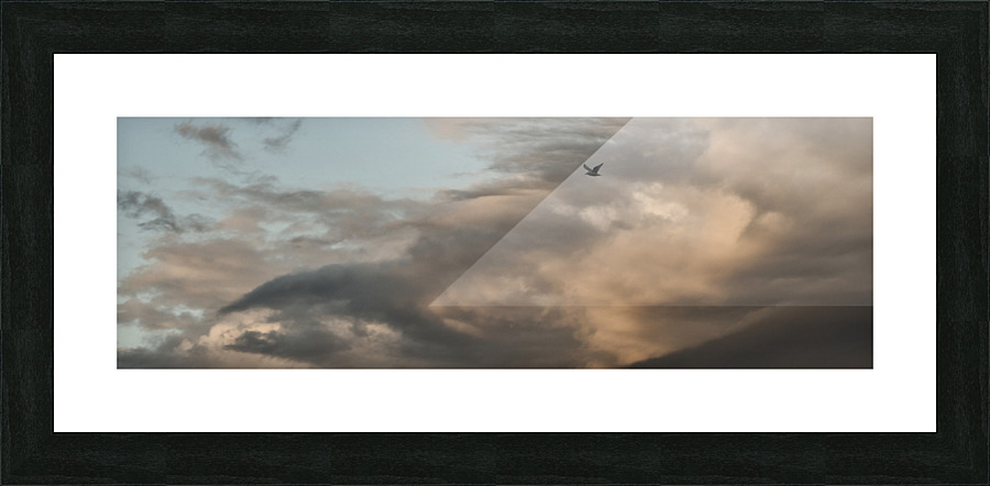 COLUDSCAPE WITH A GULL Picture Frame print
