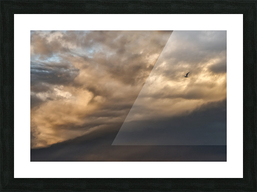 FS221128A Picture Frame print