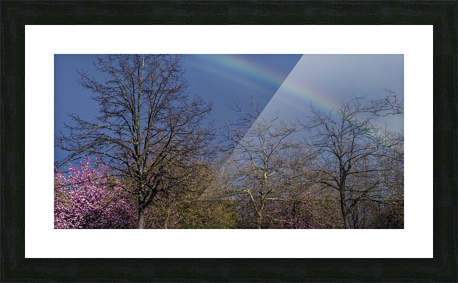FS100415 RAINBOW IN SPRING Picture Frame print