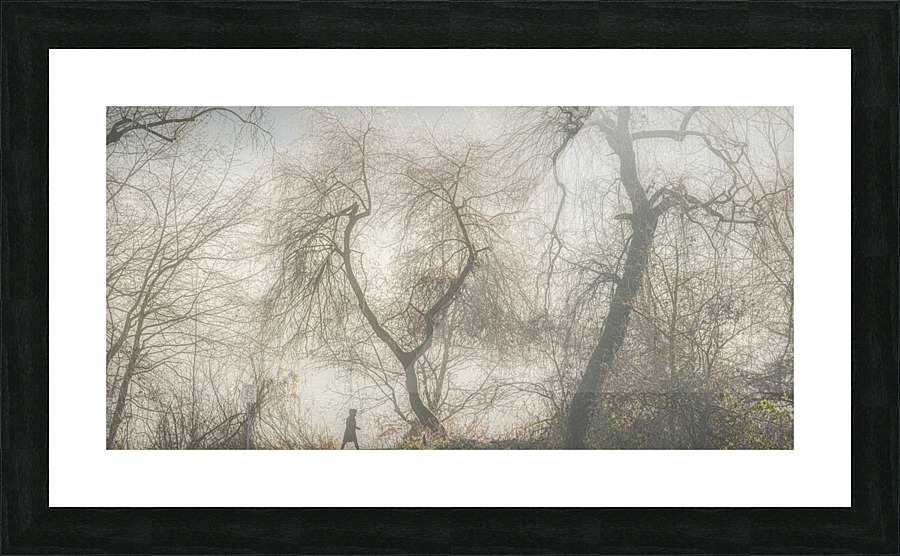 FS221212 02 Picture Frame print