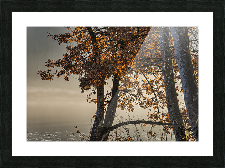 FS221212 043 Picture Frame print
