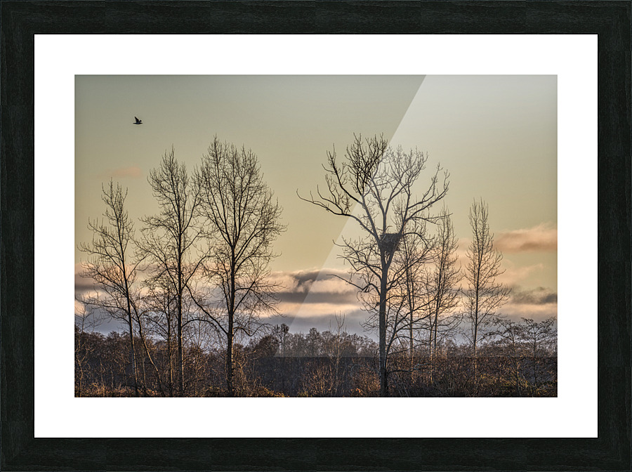 FS221214 075 Picture Frame print