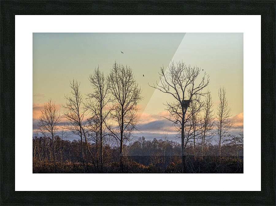 FS221214 108 Picture Frame print