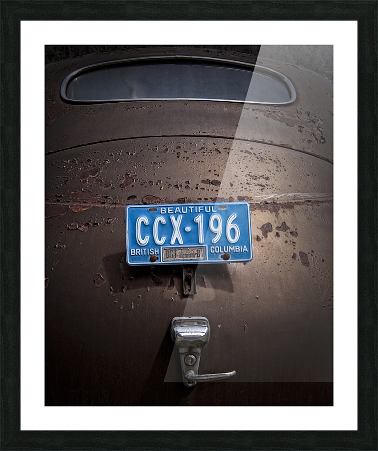FS070520 Picture Frame print