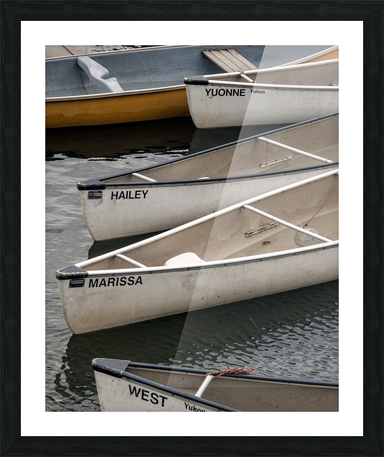 FS110715 02 Picture Frame print