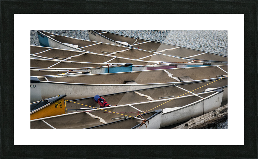 FS110715 Picture Frame print