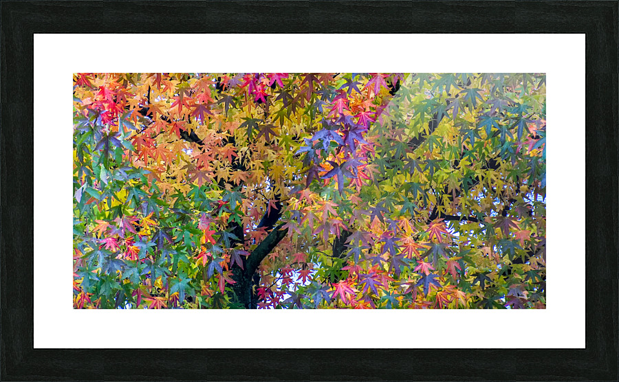 FS051016 Picture Frame print