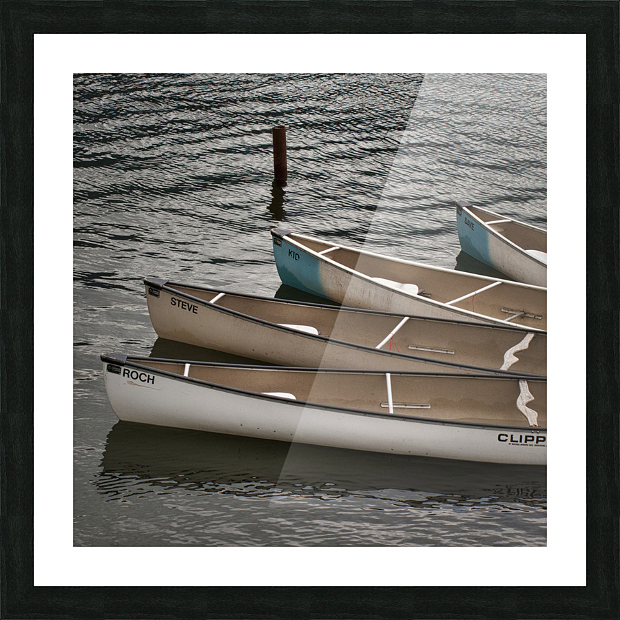 FS110715S Picture Frame print