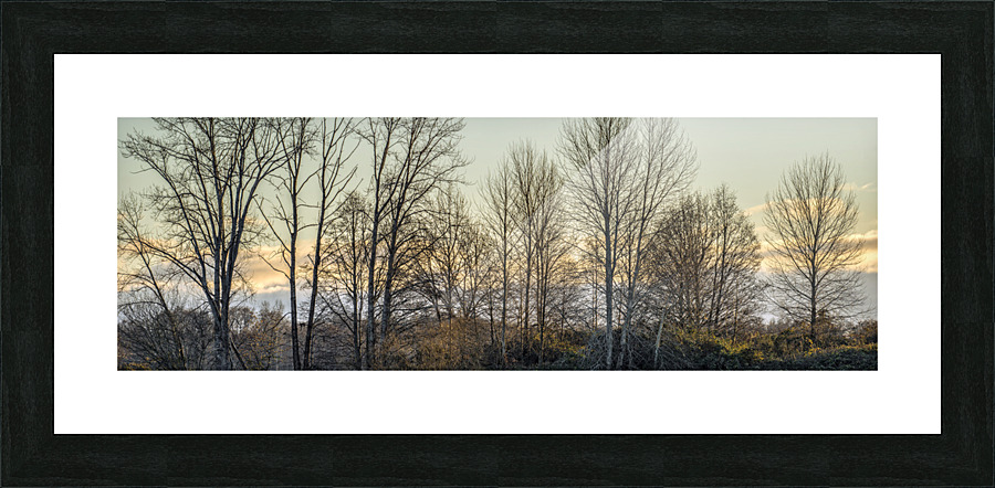 FS221214 073 Picture Frame print