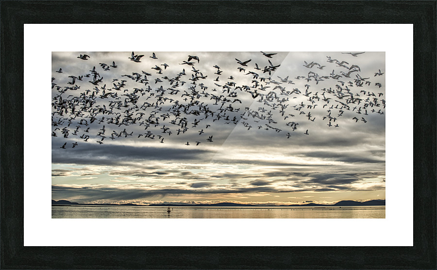 FS221231 095 Picture Frame print