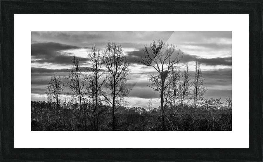 FS230103BW Picture Frame print