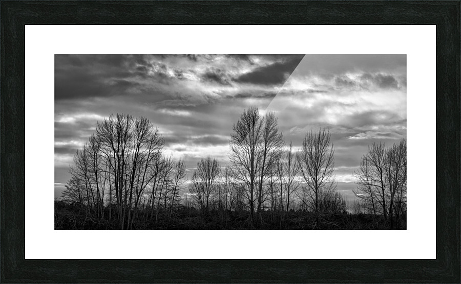 FS230103 05BW Picture Frame print
