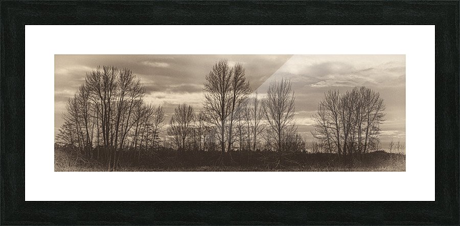 FS230103 SEP Picture Frame print